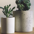 Cómo cuidar de tus plantas: consejos de expertos desde vivero y cerámicas lagos