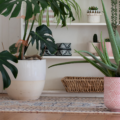 Cómo integrar plantas y cerámica artesanal en la decoración de tu hogar